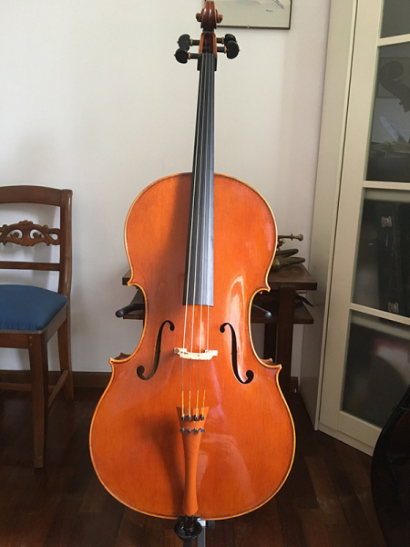 Photo : Violoncelle    Stefano Conia jr 2008