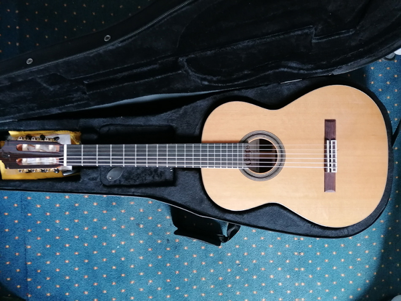 Photo : Guitare       sp6c Camps lr baggs lyric classical