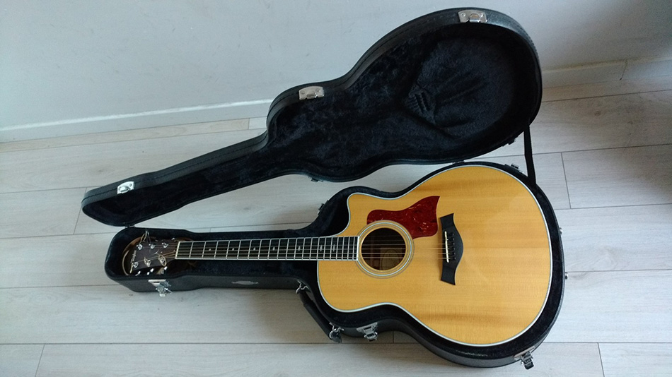 Photo : TAYLOR         416ce Electroacoustique