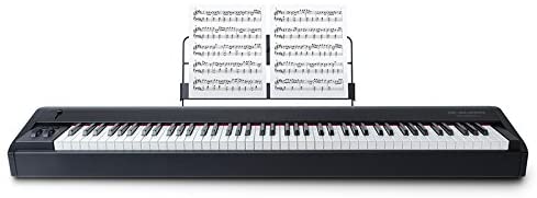 Photo : M AUDIO         HAMMER 88