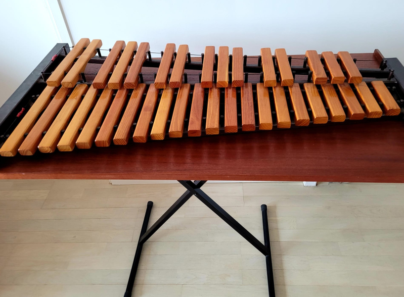 Photo : Xylophone d etude 3 octaves
