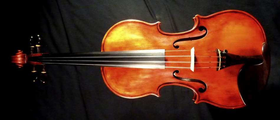 Photo : Violon    de    Concert