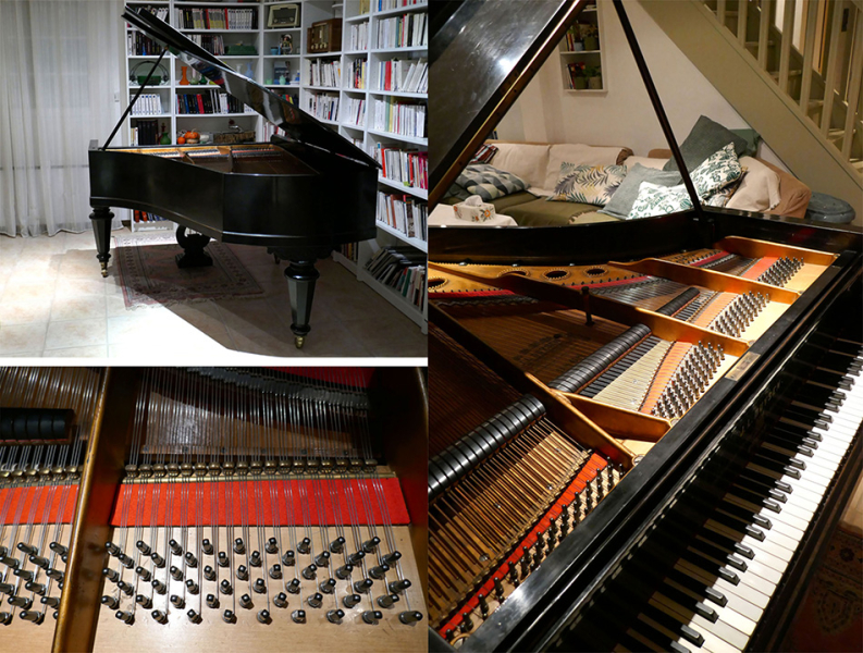 Photo : Piano quart de queue allemand expertise