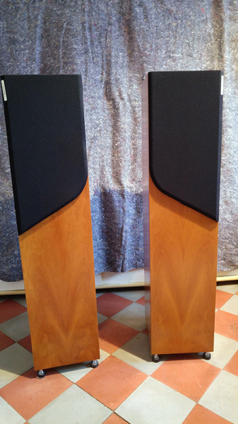 Photo : Enceintes       Psyche 2 LEEDH