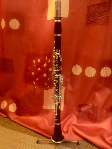 Photo annonce Clarinette      Selmer Sib Bb Serie 9 Full Boehm