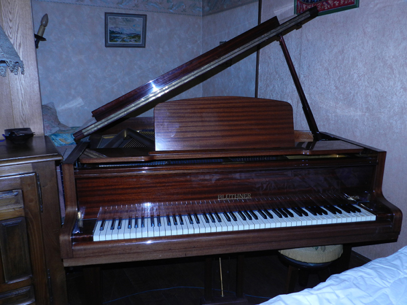 Photo : PIANO QUART DE QUEUE BLUTHNER