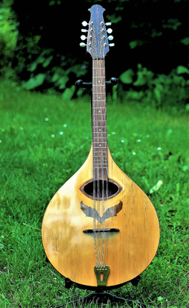 Photo : Mandole          Spiggle