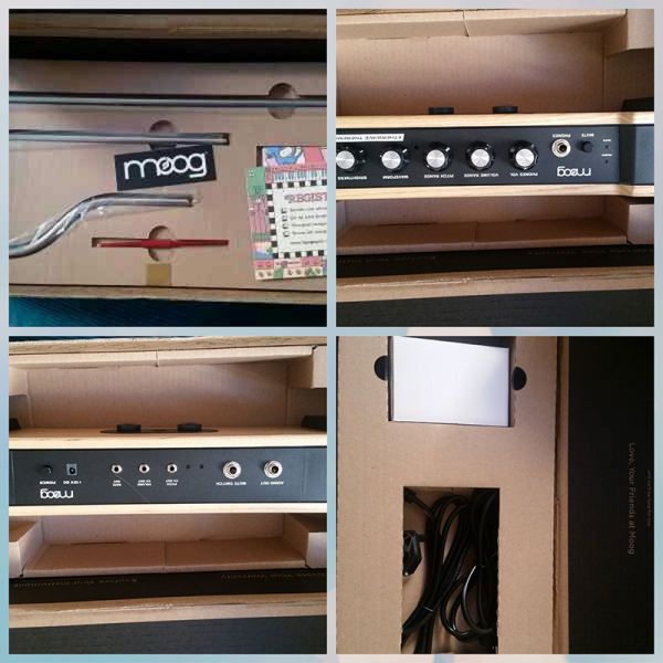 Photo : MOOG           ETHERWAVE Theremin 2022