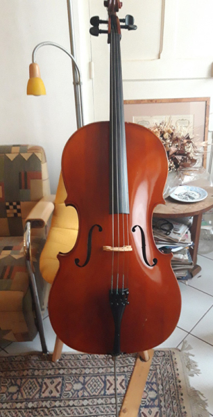 Photo : Violoncelle      Roderich Paesold