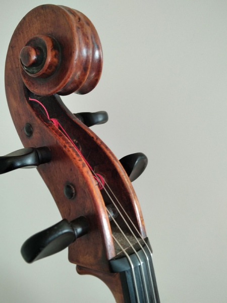 Photo : Violoncelle      a louer
