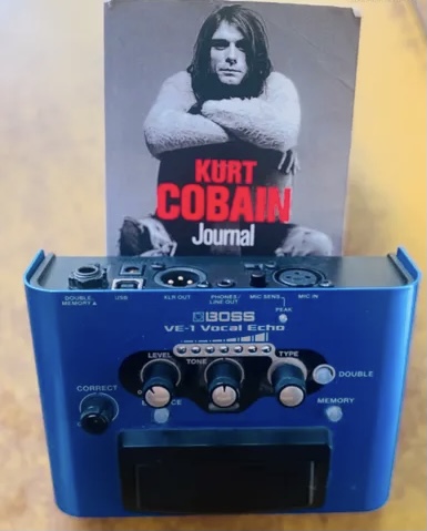 Photo : BOSS      VE     1 vocal echo