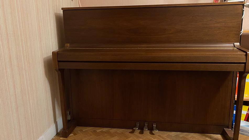 Photo : SCHIMMEL         112 10 Noyer Satine