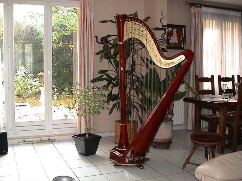 Photo : Harpe            CAMAC Atlantide 47 cordes