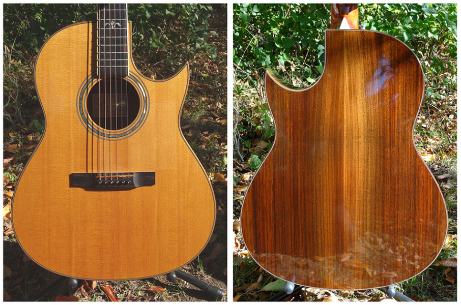 Photo : Guitare Electro Larrivee C 19 de 1994