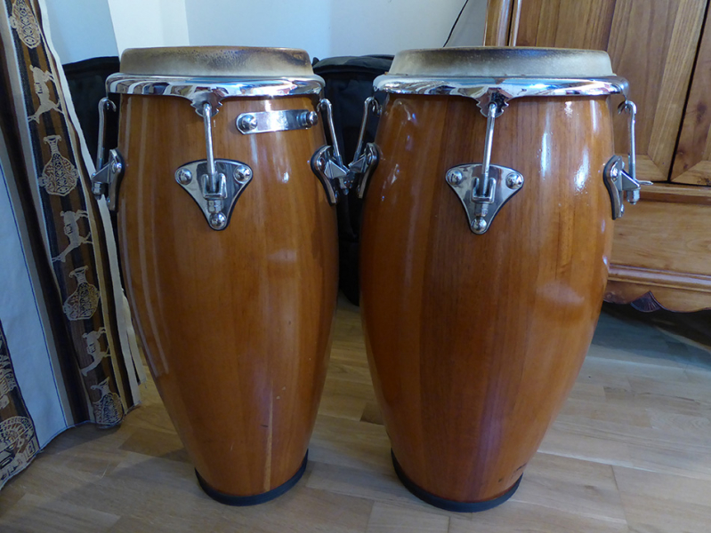 Photo annonce Congas           pro BAUER
