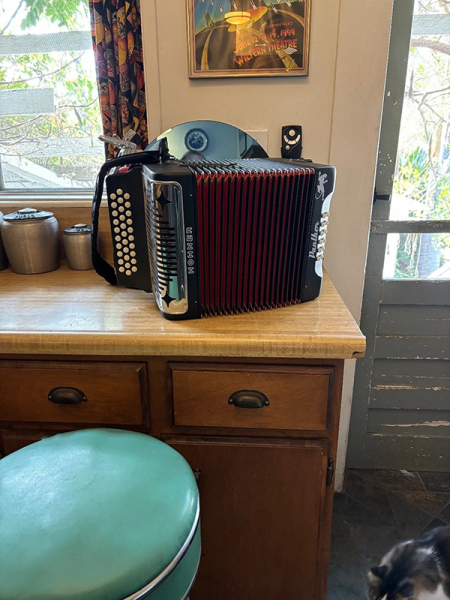 Photo : Diatonique Accordeon HOHNER Panther 3100