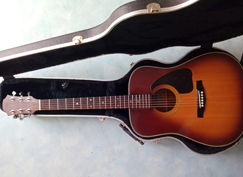 Photo : IBANEZ     V     300 BS 1970 s 80 s