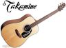 G-320, G320-NS, G320NS Takamine