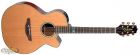 Santa FE TSF 40C Takamine