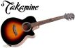 EG-260C, EG 260 C Takamine