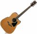 AW370ECENT naturelle, AW-370ECE Natural, AW370-ECE, AW-370-ECE Ibanez