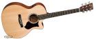 Performing Artist Series GP-CPA4 Rosewood Martin--