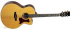 Super Jumbo 55HB, TW55 H B Tanglewood