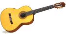 CG-201S Yamaha