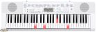 LK247 Casio-